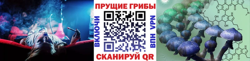 Галлюциногенные грибы MAGIC MUSHROOMS  купить закладку  Сочи 